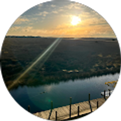 Profile photo of Jackie Carr