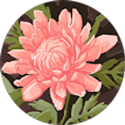 Profile photo of Camille