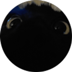 Profile photo of Hal