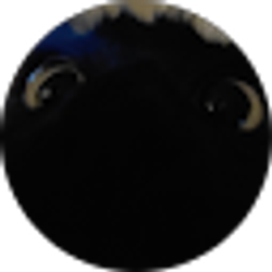 Profile photo of Hal