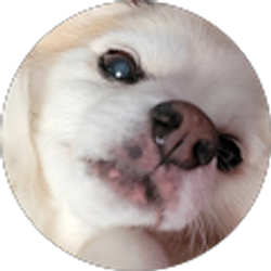 Profile photo of Jackie Guillen