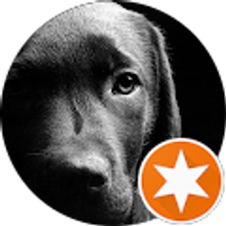 Profile photo of Laura Polerecky