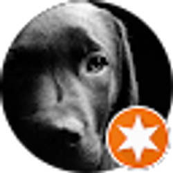 Profile photo of Laura Polerecky