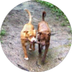 Profile photo of Seagal Zaid