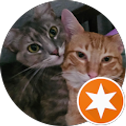 Profile photo of Sonia