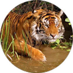 Profile photo of Juan G