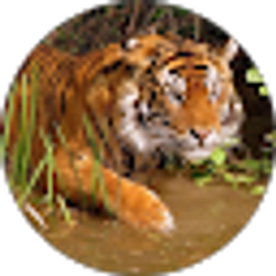 Profile photo of Juan G