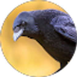Profile photo of Shadoe McKee