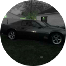 Profile photo of nigel barnes