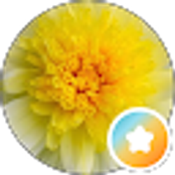 Profile photo of Cindi Sanders