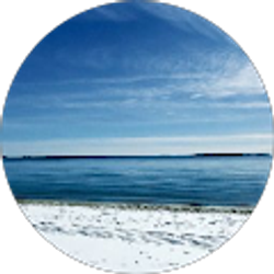 Profile photo of Lori Costantino