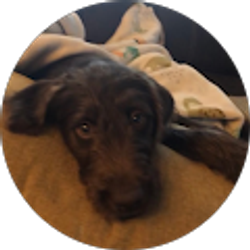 Profile photo of Vinc