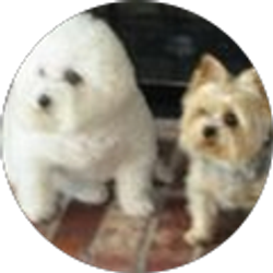 Profile photo of Ginger Smith