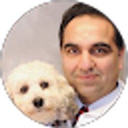 Profile photo of Mandip Lachhar