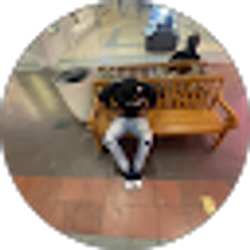 Profile photo of Tamone Hicks