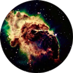 Profile photo of F B