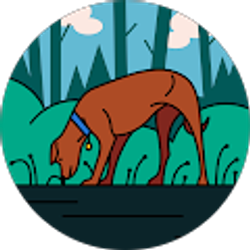 Profile photo of Ninos Yaldaei