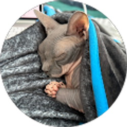 Profile photo of Cindy Lou (Healing Threads Co)