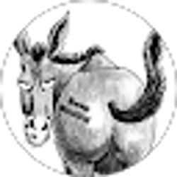 Profile photo of Curt Mays