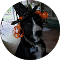 Profile photo of Karen Hurst