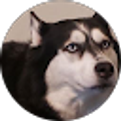 Profile photo of Sylas Gibbs