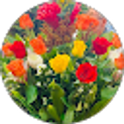 Profile photo of Atsede Degife