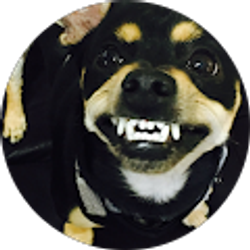 Profile photo of Maricela Hernandez