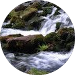 Profile photo of Aron Robinson