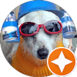 Profile photo of Jamie Masters