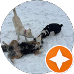 Profile photo of Megan Taylor