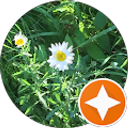 Profile photo of Karen “Diva59” L