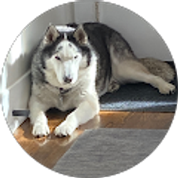 Profile photo of Drew