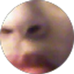 Profile photo of DEBRA TAYLOR