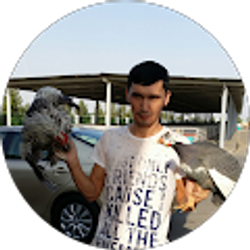 Profile photo of Mekan GURBANBAYEV