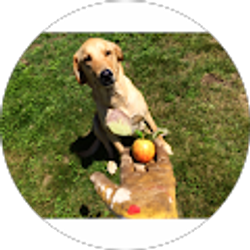 Profile photo of Sheilla Glidewell