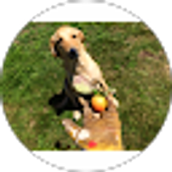 Profile photo of Sheilla Glidewell