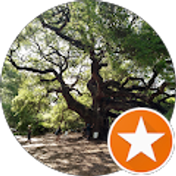 Profile photo of SVTCobra SC