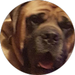 Profile photo of Pete Morris