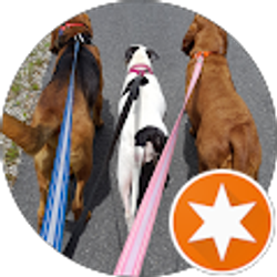 Profile photo of Rebecca M. Buchanan