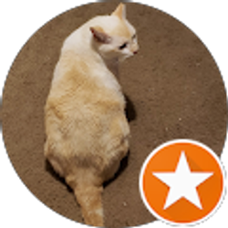 Profile photo of Patricia Nebeker