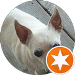 Profile photo of Debbie Douell