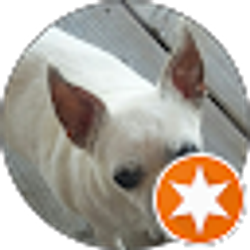 Profile photo of Debbie Douell