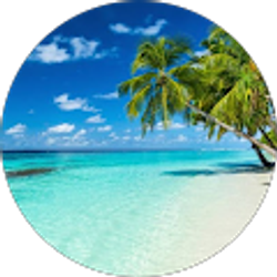 Profile photo of Chrissy Ranello