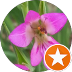 Profile photo of Turkey Rhyd