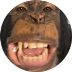 Profile photo of Felipe de Jesús Mora santos