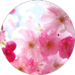 Profile photo of Kaylee Jennings