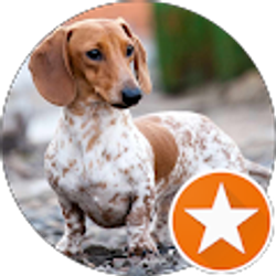 Profile photo of Beto U