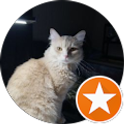 Profile photo of Ronald Moak