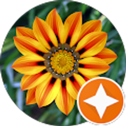 Profile photo of Yiznel Banks