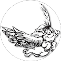 Profile photo of Brad Michael